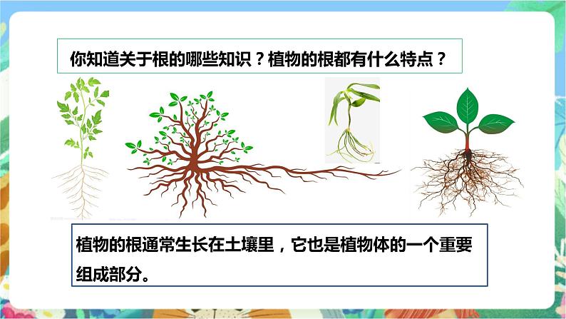 粤科版科学三年级下册  3.14 植物的根 课件03