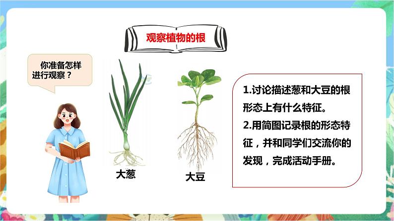 粤科版科学三年级下册  3.14 植物的根 课件04