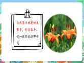 粤科版科学三年级下册 3.15 植物的花 课件