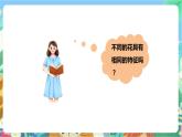 粤科版科学三年级下册 3.15 植物的花 课件
