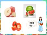 粤科版科学三年级下册  3.16 果实和种子 课件
