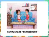 粤科版科学三年级下册  3.16 果实和种子 课件