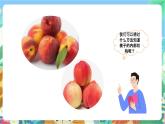 粤科版科学三年级下册  3.16 果实和种子 课件