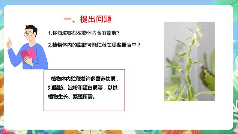 粤科版科学三年级下册 3. 17  专题探究：脂肪贮藏在哪里  课件04