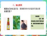 粤科版科学三年级下册 3. 17  专题探究：脂肪贮藏在哪里  课件