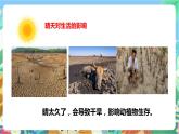 粤科版科学三年级下册   4. 21 天气与生活  课件