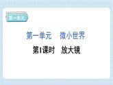 1.1 放大镜（习题课件）-2024-2025学年六年级上册科学教科版