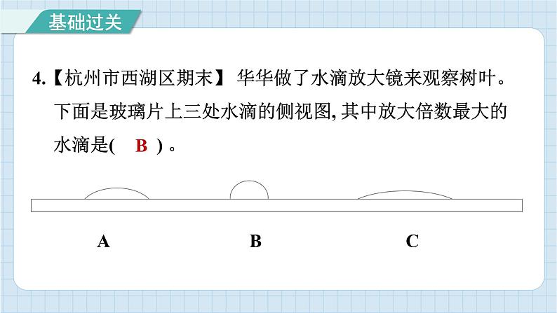 1.1 放大镜（习题课件）-2024-2025学年六年级上册科学教科版05