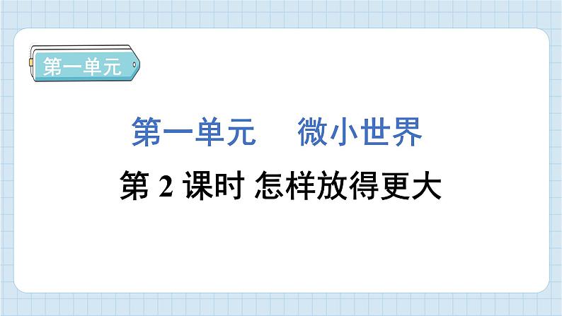 1.2 怎样放得更大（习题课件）-2024-2025学年六年级上册科学教科版01