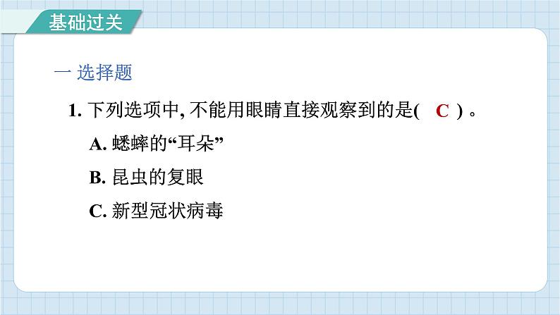 1.2 怎样放得更大（习题课件）-2024-2025学年六年级上册科学教科版02