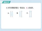 1.2 怎样放得更大（习题课件）-2024-2025学年六年级上册科学教科版