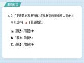 1.2 怎样放得更大（习题课件）-2024-2025学年六年级上册科学教科版