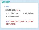 1.3 观察身边微小的物体（习题课件）-2024-2025学年六年级上册科学教科版