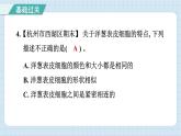 1.4 观察洋葱表皮细胞（习题课件）-2024-2025学年六年级上册科学教科版