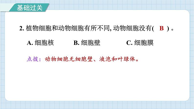 1.5 观察更多的生物细胞（习题课件）-2024-2025学年六年级上册科学教科版03