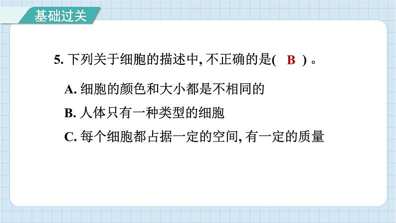 1.5 观察更多的生物细胞（习题课件）-2024-2025学年六年级上册科学教科版06