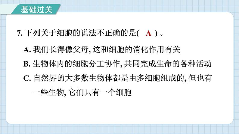 1.5 观察更多的生物细胞（习题课件）-2024-2025学年六年级上册科学教科版08