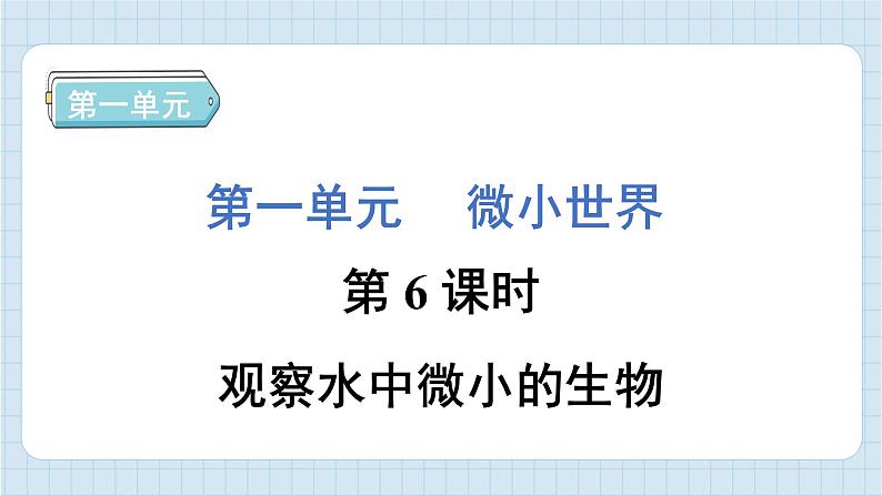 1.6 观察水中微小的生物（习题课件）-2024-2025学年六年级上册科学教科版01