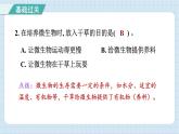 1.6 观察水中微小的生物（习题课件）-2024-2025学年六年级上册科学教科版