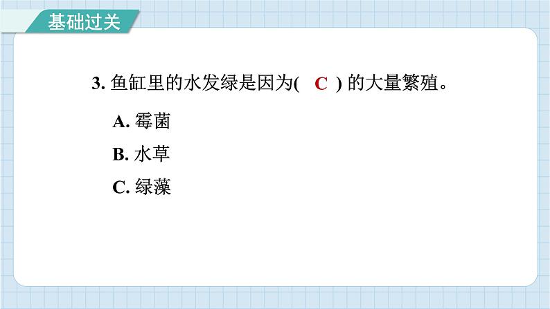 1.6 观察水中微小的生物（习题课件）-2024-2025学年六年级上册科学教科版04