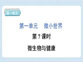 1.7 微生物与健康（习题课件）-2024-2025学年六年级上册科学教科版