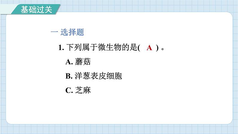 1.7 微生物与健康（习题课件）-2024-2025学年六年级上册科学教科版02