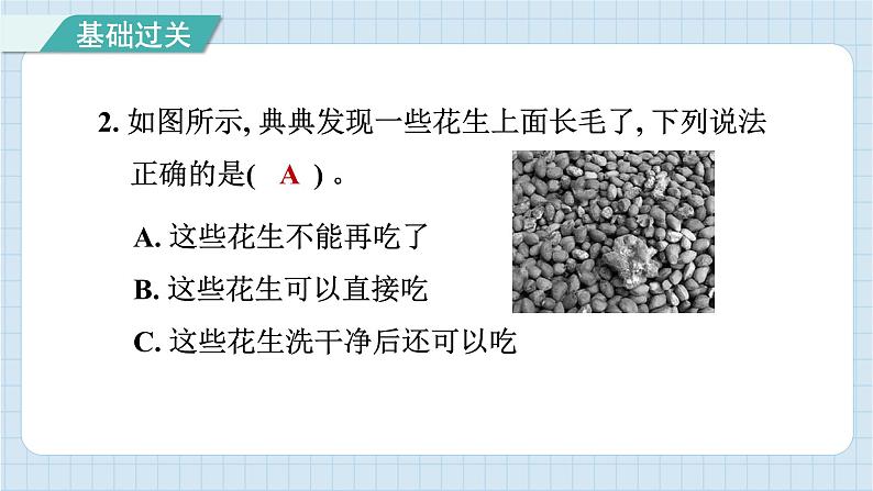 1.7 微生物与健康（习题课件）-2024-2025学年六年级上册科学教科版03