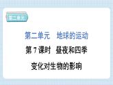 2.7 昼夜和四季变化对生物的影响（习题课件）-2024-2025学年六年级上册科学教科版