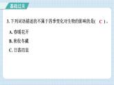 2.7 昼夜和四季变化对生物的影响（习题课件）-2024-2025学年六年级上册科学教科版