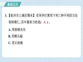 3.1 紧密联系的工具和技术（习题课件）-2024-2025学年六年级上册科学教科版