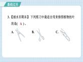 3.5 灵活巧妙的剪刀（习题课件）-2024-2025学年六年级上册科学教科版
