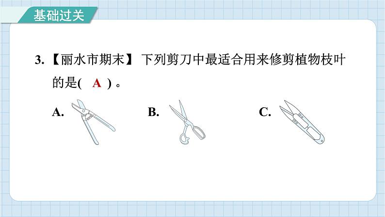 3.5 灵活巧妙的剪刀（习题课件）-2024-2025学年六年级上册科学教科版04