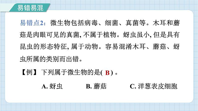 第一单元 微小世界 知识梳理（习题课件）-2024-2025学年六年级上册科学教科版04