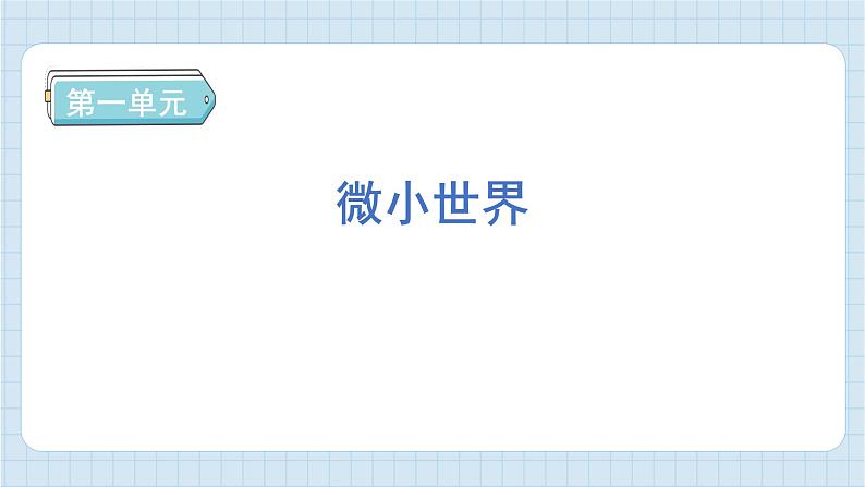 第一单元 微小世界 知识梳理（习题课件）-2024-2025学年六年级上册科学教科版01