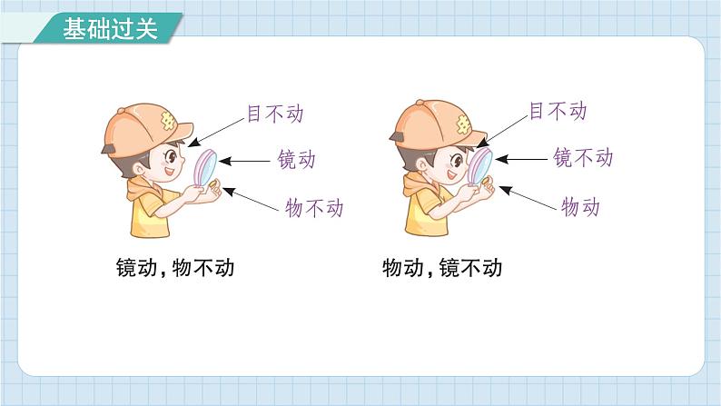 第一单元 微小世界 知识梳理（习题课件）-2024-2025学年六年级上册科学教科版05