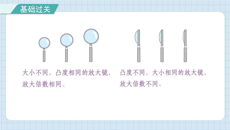 第一单元 微小世界 知识梳理（习题课件）-2024-2025学年六年级上册科学教科版07