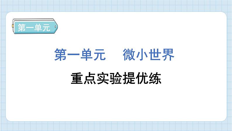 第一单元 微小世界 知识梳理（习题课件）-2024-2025学年六年级上册科学教科版01