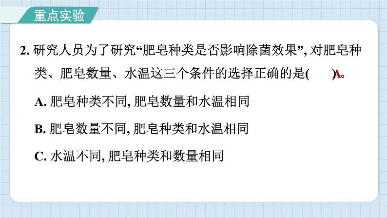 第一单元 微小世界 知识梳理（习题课件）-2024-2025学年六年级上册科学教科版03