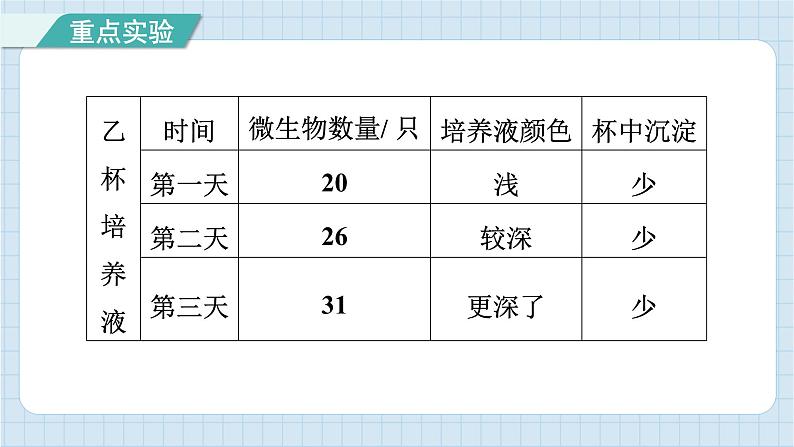 第一单元 微小世界 知识梳理（习题课件）-2024-2025学年六年级上册科学教科版06