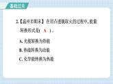 4.7 能量从哪里来（习题课件）-2024-2025学年六年级上册科学教科版