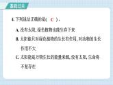 4.7 能量从哪里来（习题课件）-2024-2025学年六年级上册科学教科版