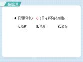 第一单元 综合测试卷（习题课件）-2024-2025学年六年级上册科学教科版