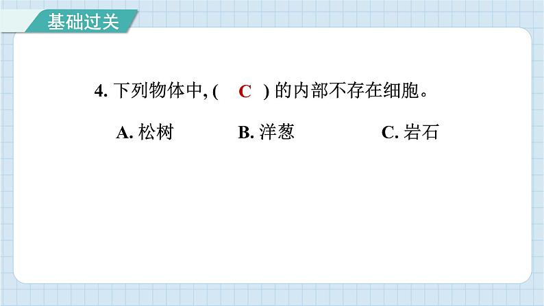 第一单元 综合测试卷（习题课件）-2024-2025学年六年级上册科学教科版05