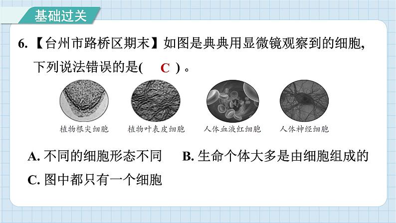 第一单元 综合测试卷（习题课件）-2024-2025学年六年级上册科学教科版07