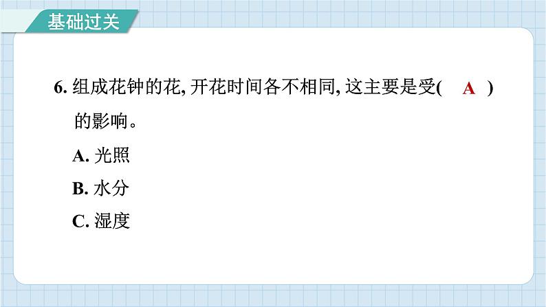 第二单元 综合测试卷（习题课件）-2024-2025学年六年级上册科学教科版07