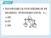第三单元 综合测试卷（习题课件）-2024-2025学年六年级上册科学教科版