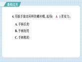 第三单元 综合测试卷（习题课件）-2024-2025学年六年级上册科学教科版
