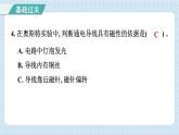 第四单元 综合测试卷（习题课件）-2024-2025学年六年级上册科学教科版