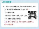 1.1 有关光的思考（习题课件)-2024-2025学年五年级上册科学教科版