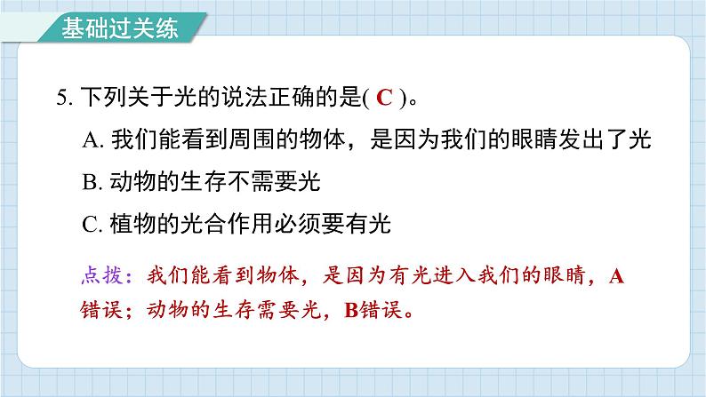 1.1 有关光的思考（习题课件)-2024-2025学年五年级上册科学教科版06